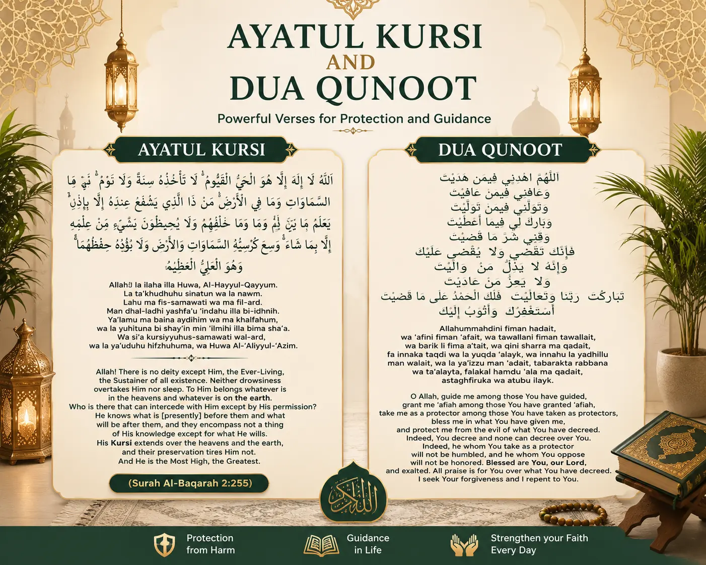 Quran Translation